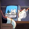 Avatar de doctor