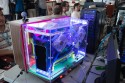 Campus Party 2010 - Valencia