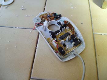 Ampliar foto guia Ratón con Radio