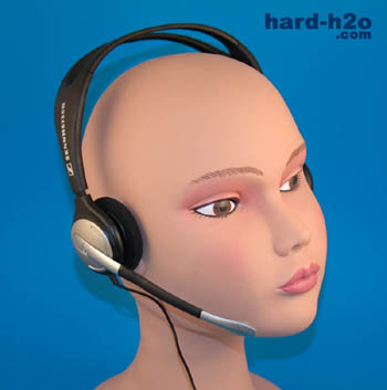 Ampliar foto Auriculares Sennheiser PC