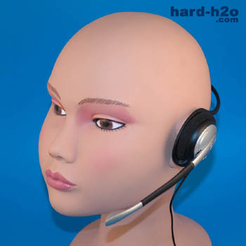 Ampliar foto Auriculares Sennheiser PC