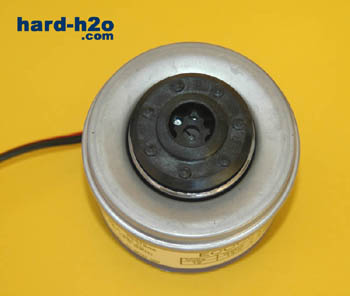 Ampliar foto bomba Dangerden D4D