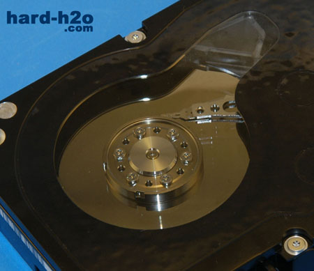 Ampliar Foto Disco duro Western Digital Raptor X 150 GB