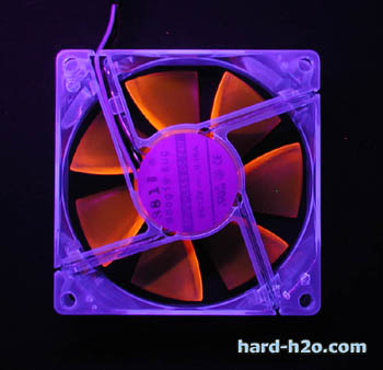 Pulsa aquí para ampliar