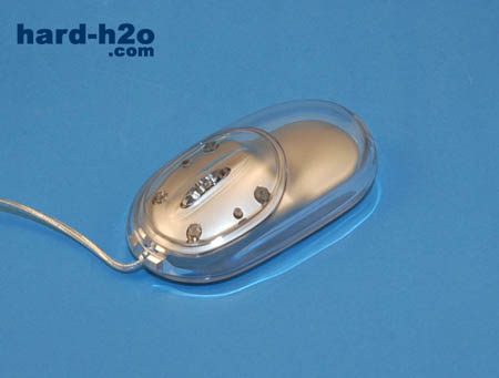 Ampliar Foto Ratón Sunbeam Acrylic