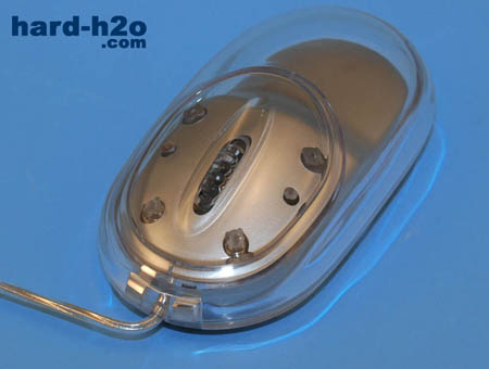 Ampliar Foto Ratón Sunbeam Acrylic